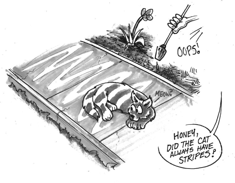 Top 5 Pressure Washer Accessories